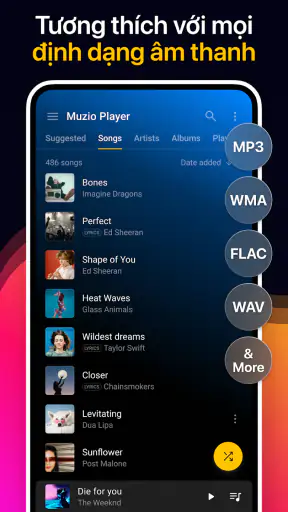 Trình phát nhạc screenshot