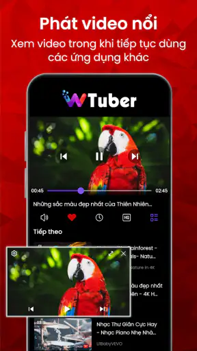 Trình Phát Video - wTuber screenshot