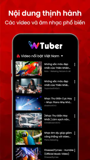 Trình Phát Video - wTuber screenshot