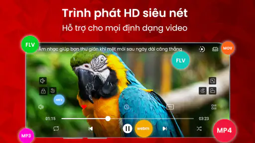 Trình Phát Video - wTuber screenshot