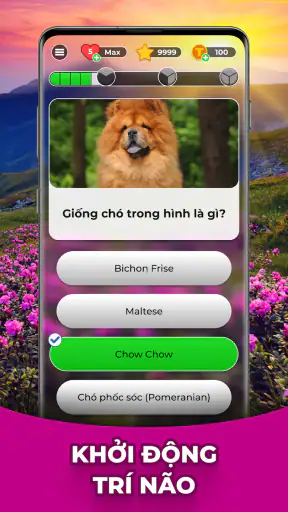 Triviascapes: kiểm tra IQ screenshot
