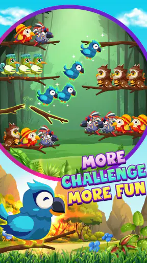 Trò chơi phân loại chim 2 screenshot