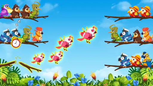 Trò chơi phân loại chim 2 screenshot