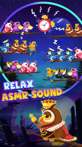 Trò chơi phân loại chim 2 screenshot