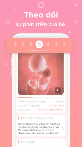 Trợ lý mẹ bầu. Theo dõi thai screenshot