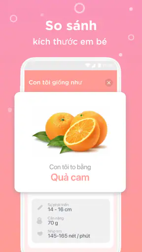 Trợ lý mẹ bầu. Theo dõi thai screenshot
