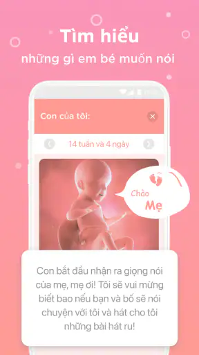 Trợ lý mẹ bầu. Theo dõi thai screenshot
