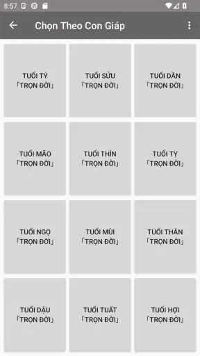 Tử Vi Trọn Đời screenshot