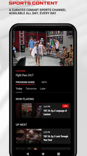 UFC screenshot