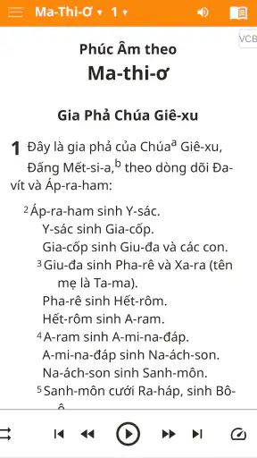 Vietnamese Bible screenshot