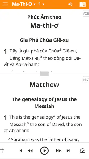 Vietnamese Bible screenshot