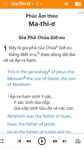 Vietnamese Bible screenshot