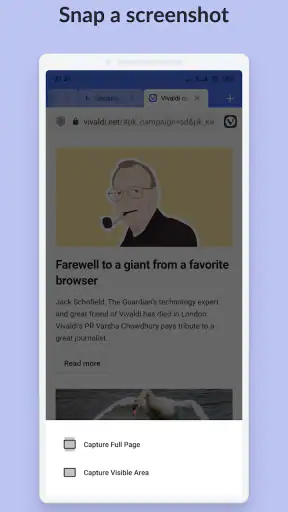 Vivaldi Browser Snapshot screenshot