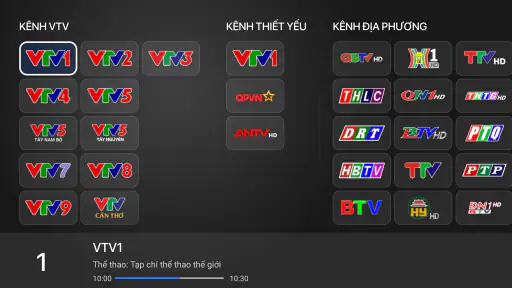 VTVgo Truyền hình số QG cho TV screenshot