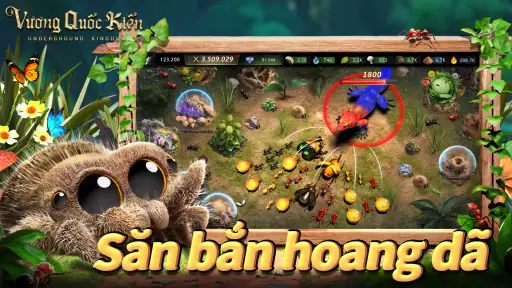 Vương Quốc Kiến - Gamota screenshot