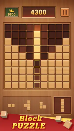 Wood Block 99 - Câu Đố Sudoku screenshot
