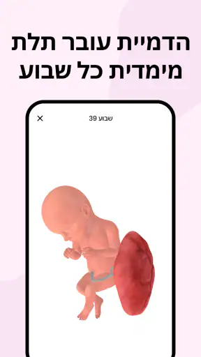 מעקב הריון ולידה - פורטי screenshot